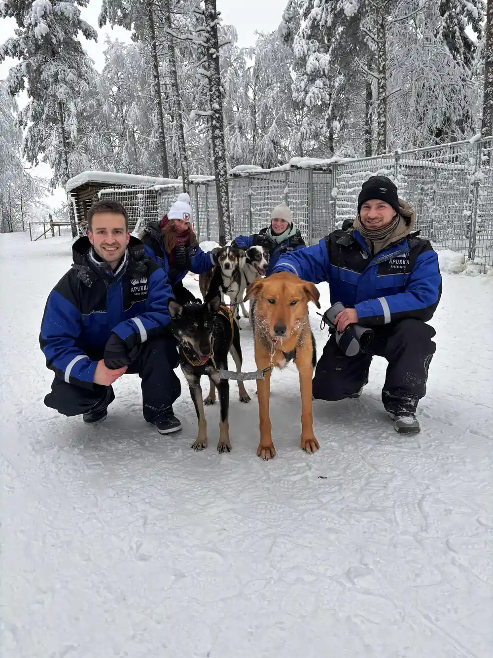 Four people crouching with sled dogs in snow
