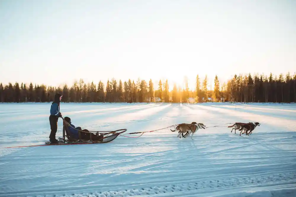 Musher with two dogs on frozen lake at sunset