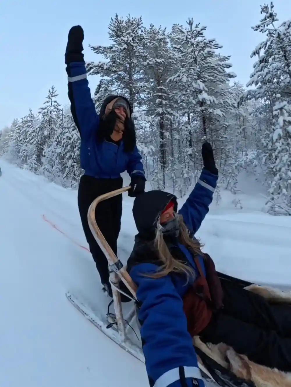 Person on dog sled being pulled through snow