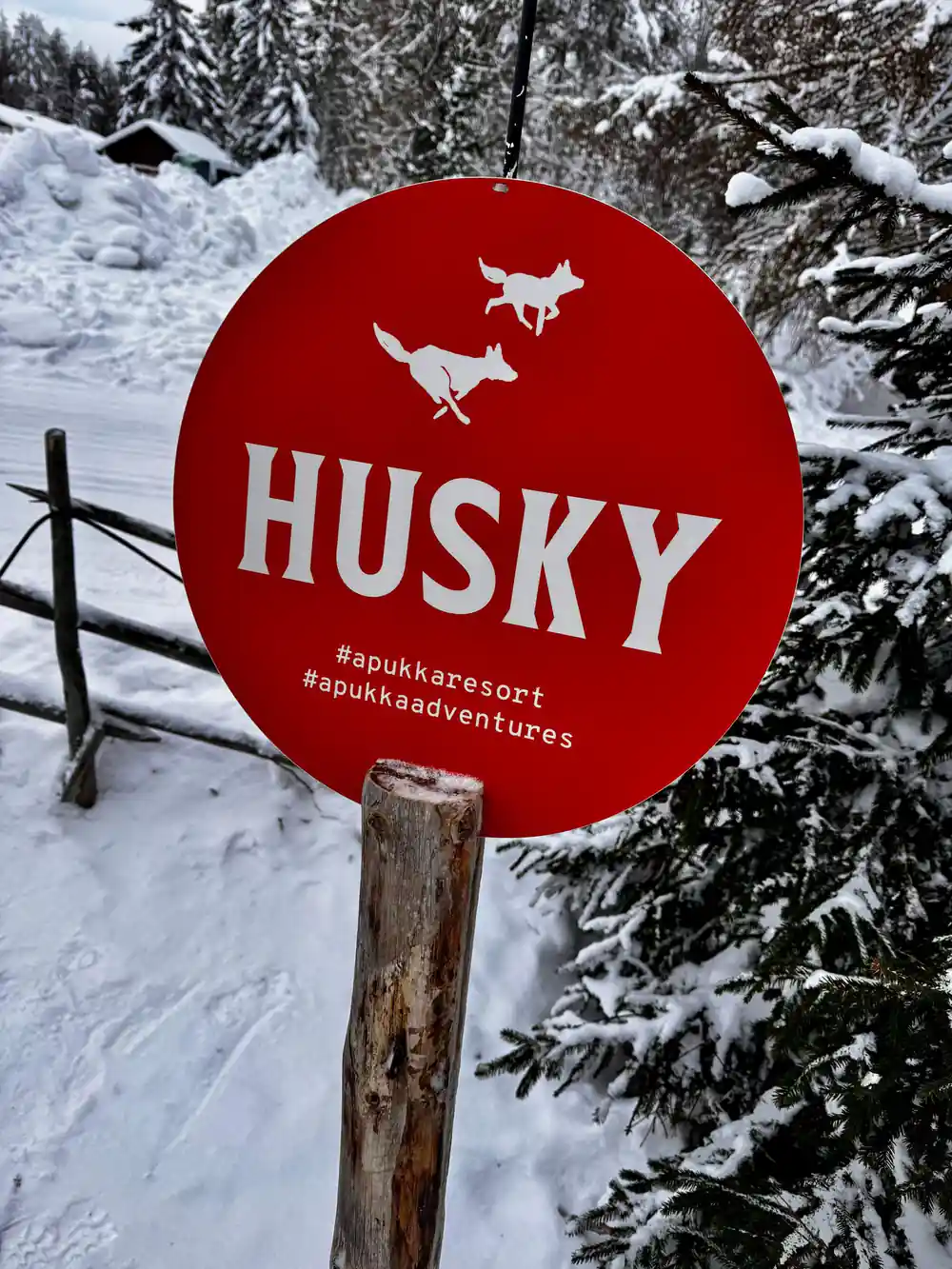 Red circular husky sign in snowy forest with pine trees