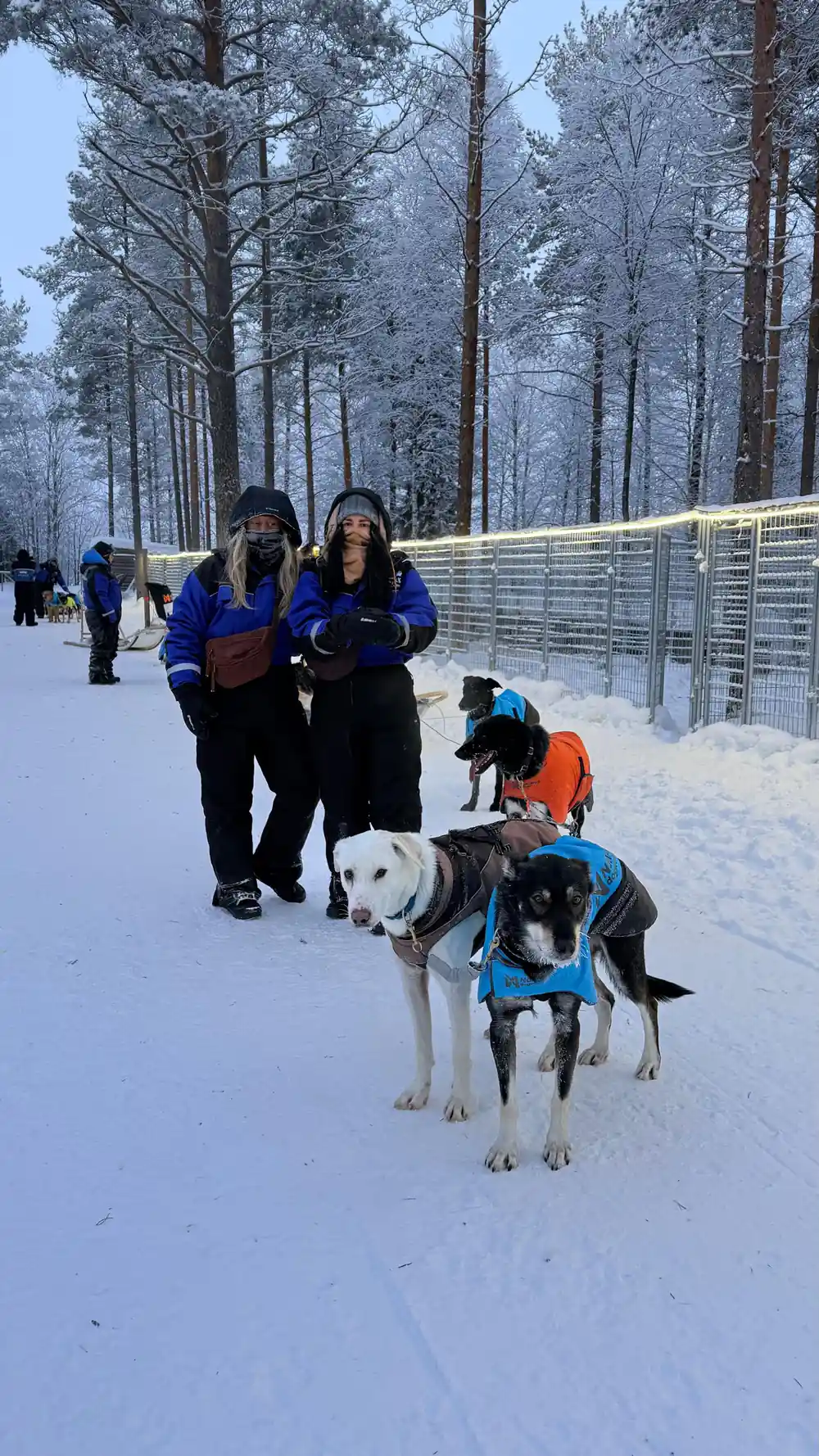 Two people walking with husky on snowy ground