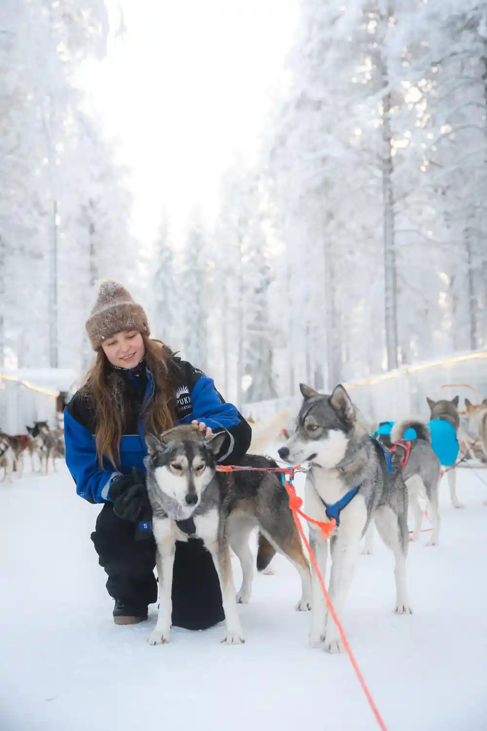 Woman crouching with husky dogs in snowy forest